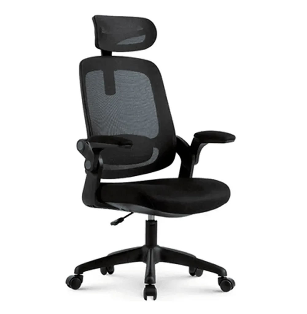Cadeira ergonômica Elements Astra preta com suporte lombar e braços ajustáveis.