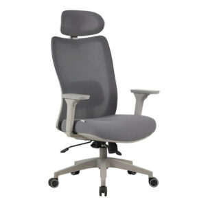 Cadeira Ergonômica Elements Astra Pro Cinza