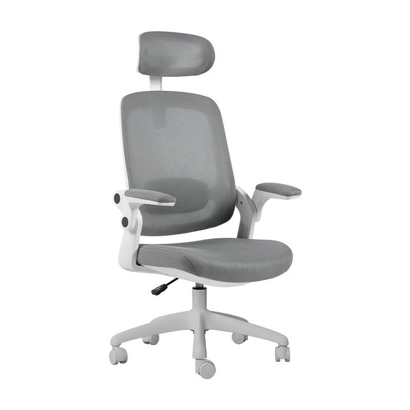 Cadeira de Escritório Astra Ergonômica Elements Cinza Branco